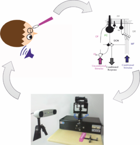 fig_Task&SetUP&cSNN