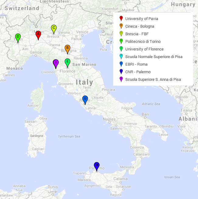 human brain mapping and florence