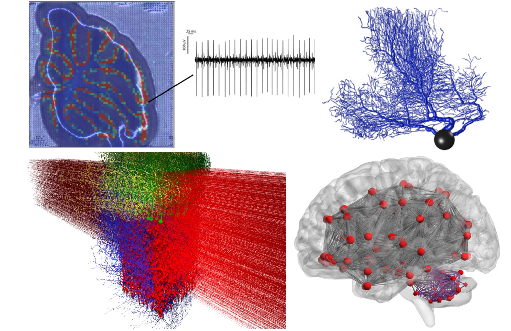 The Human Brain Project: end of an era and legacy for the future ...